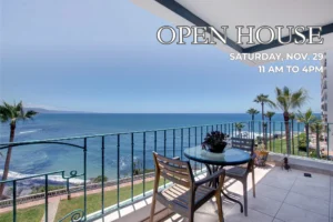 Join us this Saturday Nov. 29 from 11 am to 4pm