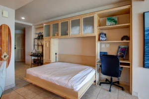 The living room features a convenient Murphy bed.
