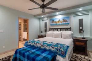 Modern remote control air-conditioning and ceiling fan.