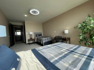 Secondary bedroom with two beds and a plant