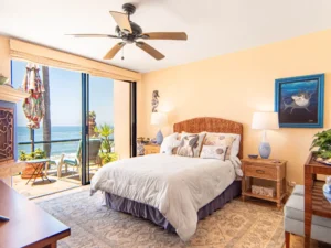 Guest suite / Second bedroom opens up to the balcony.