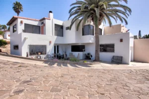 The house already features a large palm tree, providing that true beach and coastal feel - Plaza del Mar Real Estate