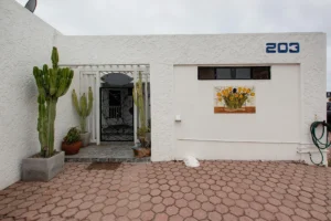 The façade is adorned with planters featuring native regional cacti.