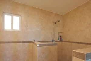 Shower in the downstairs master bathroom.