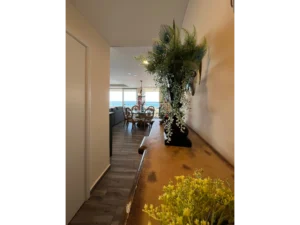 Oceanview Corner Condo for Rent in Calafia Rosarito | Residence 901