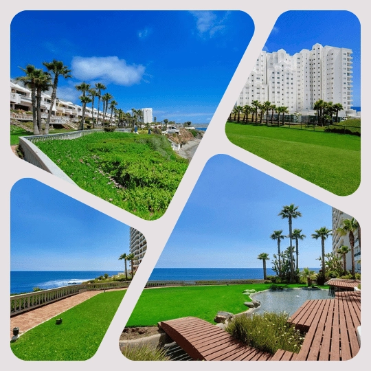 Club Marena Landscaped grounds